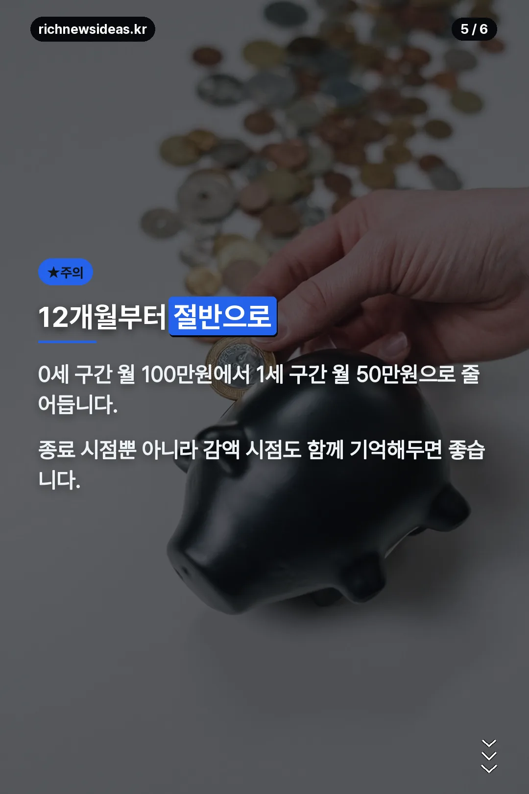12개월부터 절반으로