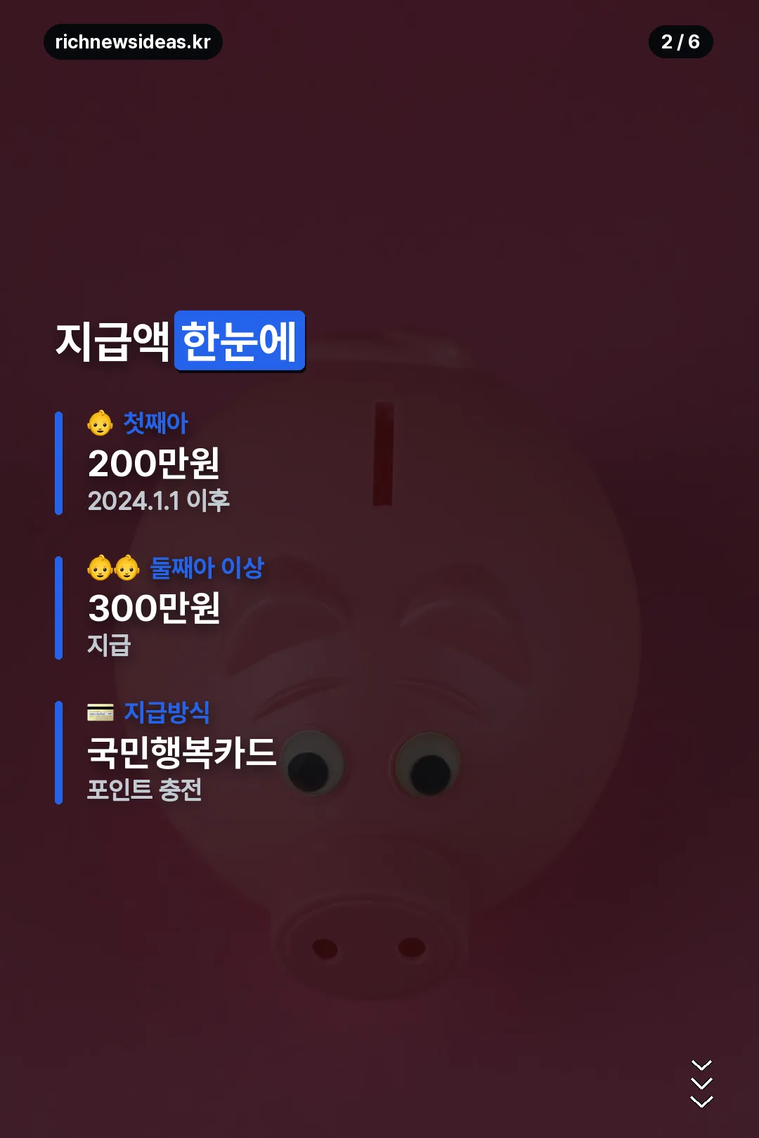 지급액 한눈에 보기